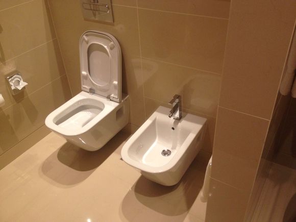 现代坐式马桶的拆旧与换新